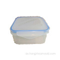 Transparente Formen-Lunchbox-Formenhersteller